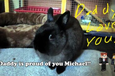 Whiskers the cutest rabbit!  This little girl loves Daddy and follows him around. Love you son!!!!!