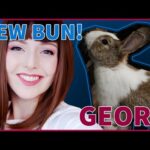 WE HAVE A NEW BUNNY... almost! MEET GEORG! | birtarnb