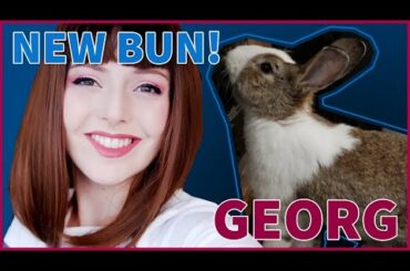 WE HAVE A NEW BUNNY... almost! MEET GEORG! | birtarnb