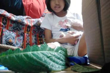 My two cute Rabbit and there name The white with black her name Ruby the white her name Aj Jovi Ruth