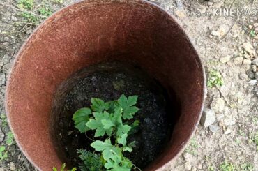 #Part3 முயல் பண்ணை மற்றும் பண்ணையின் அடுத்தகட்ட நகர்வு #Rabbit #County #Chicken #Integrated #Farms