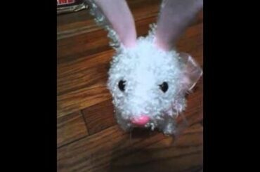 Funny And Cute Bunny Rabbit Video Hops wiggle ears talks robot bunny