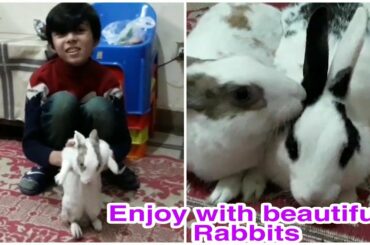 Baby enjoy with beautiful rabbit || khargosh || Happy baby || 2020