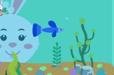 Ria Gets A Pet | S01E03 | Children's Story | Animated Cartoon | English | Ria Rabbit