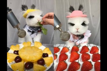 Sound of cute rabbit eating || ASMR