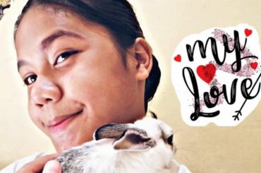 I HAVE A CUTE BUNNY 😍😘 |RABBIT🐰| It's Macy Mori!