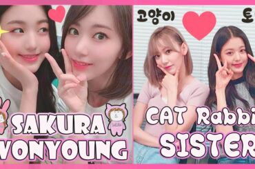 (EN SUB) IZONE - Sakura Wonyoung / Cat Rabbit Moments #아이즈원  #アイズワン,