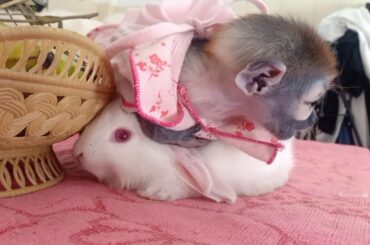 Life Vicky Baby to day her is so very cute/her happy with her friend