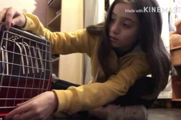 Speaking what i got for my rabbit 🐇