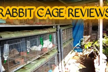 Review Kandang Kelinci || Rabbit Lucu / Cute || Kelinciku Kelinciku || rabbit cage reviews