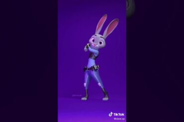 Bunny