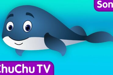 Blue Whale Nursery Rhyme | ChuChuTV Sea World | Animal Songs & Nursery Rhymes For Children