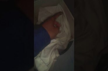 😍😍কতো কিউট খরগুসের বাচ্চা😍😍 || Rabbit's Cute Baby || SarFaraz Sarkar Official