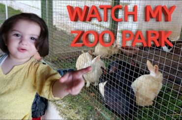 cute rabbits in parks near me | a visit to a zoo animals | garden | zoo park