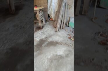 My cute rabbits🐰🐰🐰🐰:-):,-)