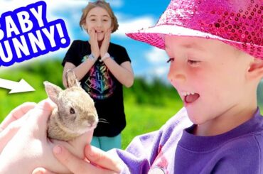 Baby Bunnies Born in Our Garden!