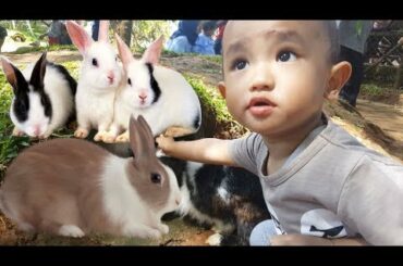 Balita Lucu Kasih Makan Kelinci | Mengenal Binatang Terbak | Feeding Cute Bunny Rabbit