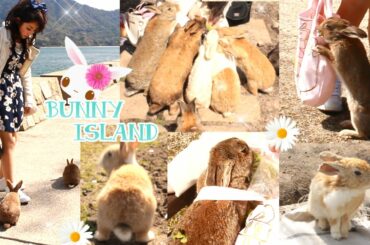 Very Cute Bunnies ^o^ ☆ Bunny Island  ( Okuno Island ) ☆  ( Cut from my travel video , No voice )
