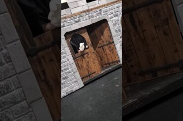 Bunny gets angry and throws explosives