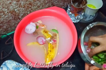 All in one liquidfertilizer//మొక్కలకు ఇలా వాడిచూడండి//Bestresult కనిపిస్తుంది//onion peel fertilizer