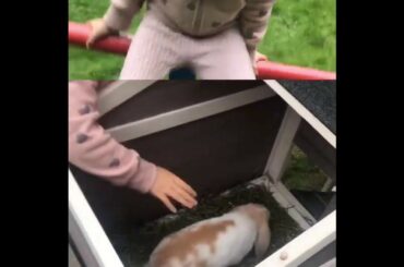 Soon on YouTube! Cute Bunny