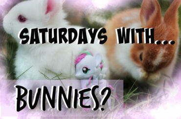 Saturdays With BUNNIES {#66}- Baby Bunny Dares
