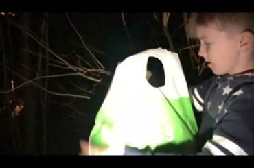 Cleaning The Cage! Cute Bunny