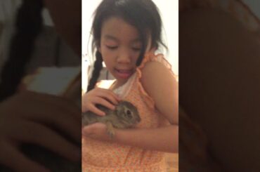 My cute little bunny!! 🐰🐰🐰 (I don’t have it anymore tho🥺)