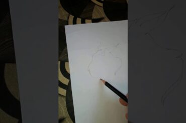 Funny rabbit handmade sketch