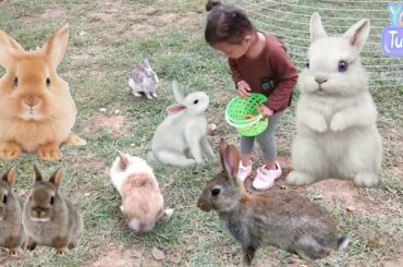 ZARA CUTE LITTLE KENZO KELINCI LUCU || CUTE RABBITS