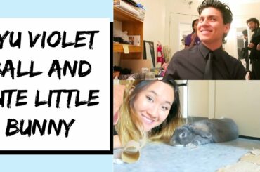 NYU Violet Ball and Cute Bunny Flop