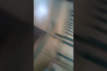 My cute bunny, siapa yang punya kelinci