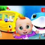Rhymes for Children : Wheels on The Bus Baby Songs to Dance | Nursery Rhymes Playlist english