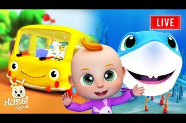 Rhymes for Children : Wheels on The Bus Baby Songs to Dance | Nursery Rhymes Playlist english