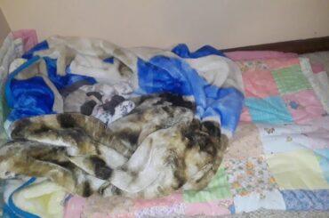 Cutest Baby KITS(18)