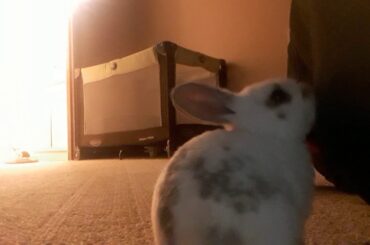 Cutest Baby KITS(26)