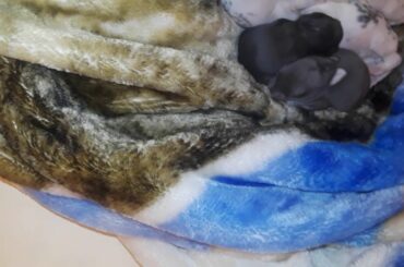 Cutest Baby KITS(14)