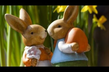 Rabbit।Cute Rabbit।Funny Rabbit।Animal Cartoons। Bangla Fairy Tales।