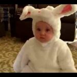 Cute Baby girl in Bunny Costume