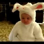 Get Ready for HALLOWEEN! (Cute & Angry Baby Bunny)