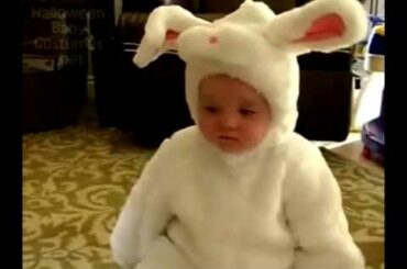 Get Ready for HALLOWEEN! (Cute & Angry Baby Bunny)