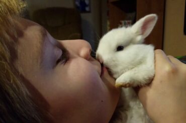 Cutest bunny kisses ever epic love