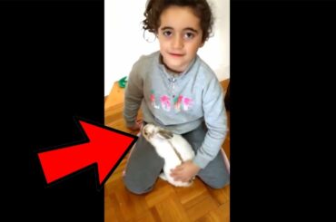 Cute Rabbit Loves HUGS