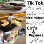 Baby Tik Tok Videos || Funny CUTE BABY Dubsmash Latest 2020 Collection