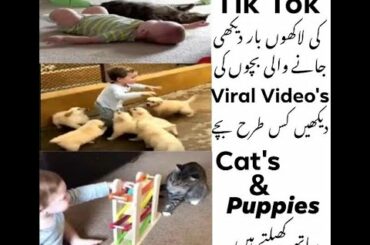 Baby Tik Tok Videos || Funny CUTE BABY Dubsmash Latest 2020 Collection