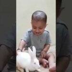 Funny boy playing with rabbit