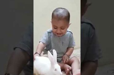 Funny boy playing with rabbit
