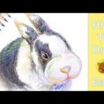 How to Draw | Cute Rabbit | Easy