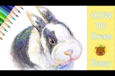 How to Draw | Cute Rabbit | Easy