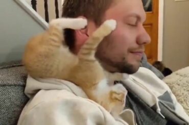 Cute baby animals Videos Compilation cute moment of the animals   Soo Cute! #40